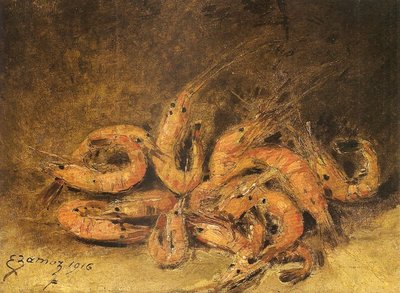 Shrimps by Emmanuel Zamor